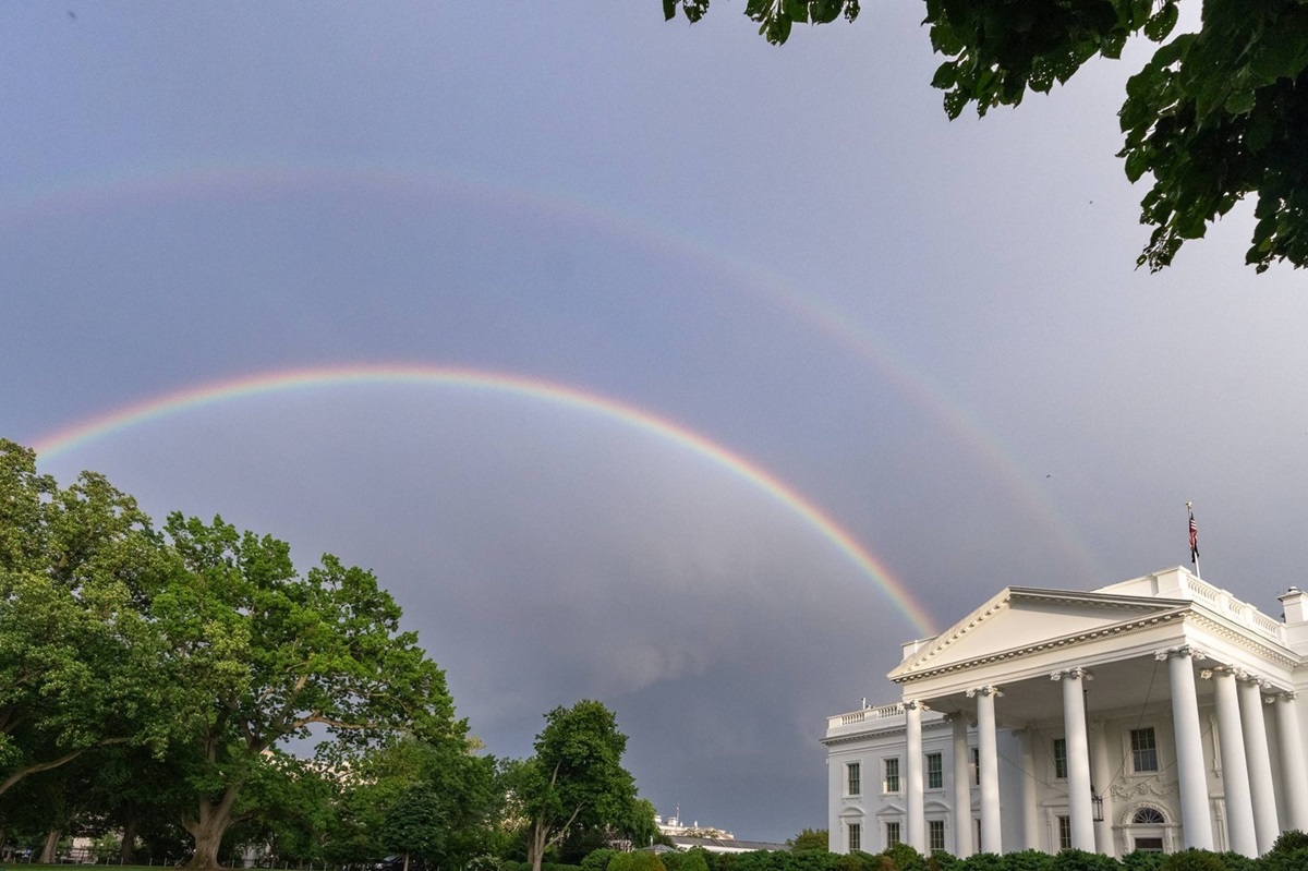 Konvensi Nasional Demokrat dijadwalkan pada 19 Agustus untuk memilih pengganti Joe Biden. Siapa sajakah mereka?