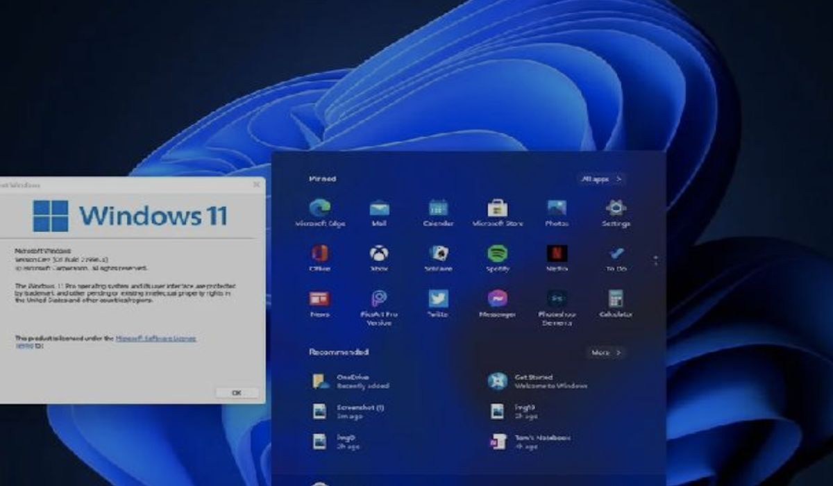 Fenomena windows blackout