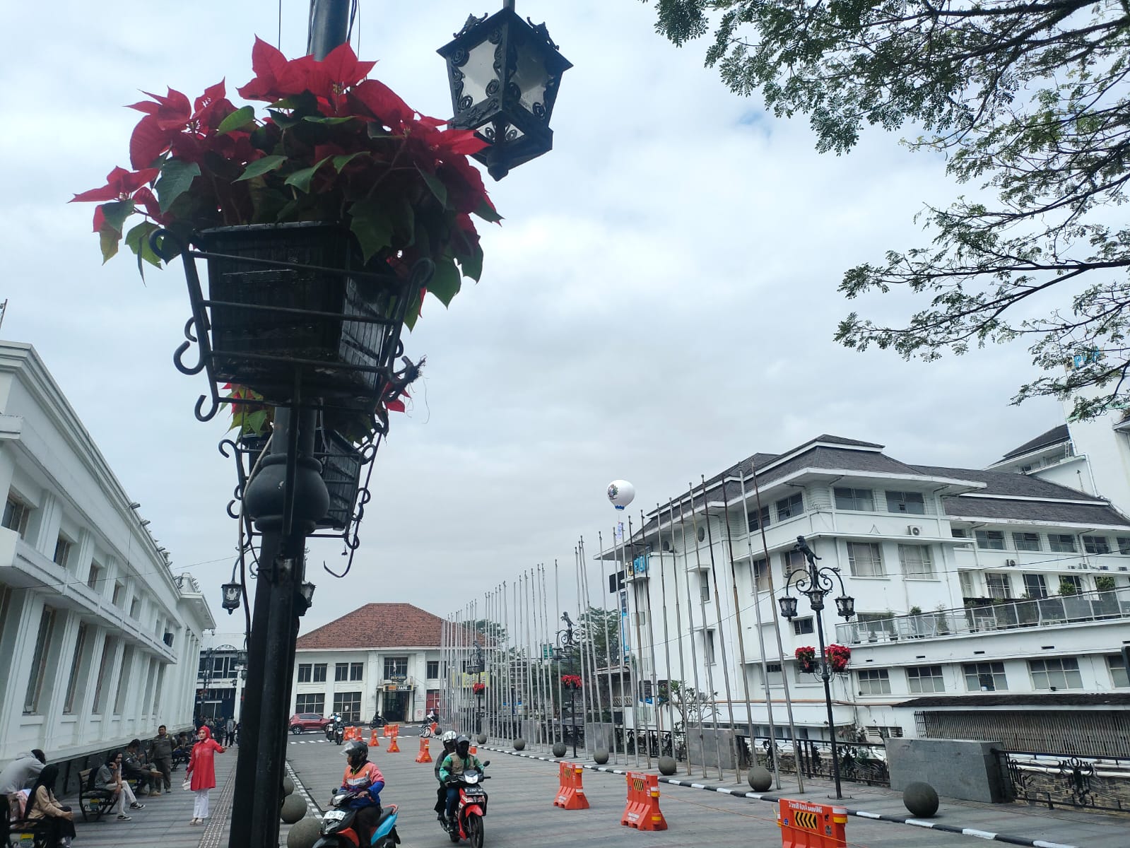 Bunga kastuba menghiasi Jalan Asia Afrika di Kota Bandung