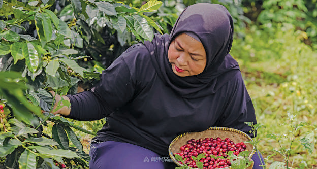 Pemilik  Java Halu Coffee Rani Mayasari.