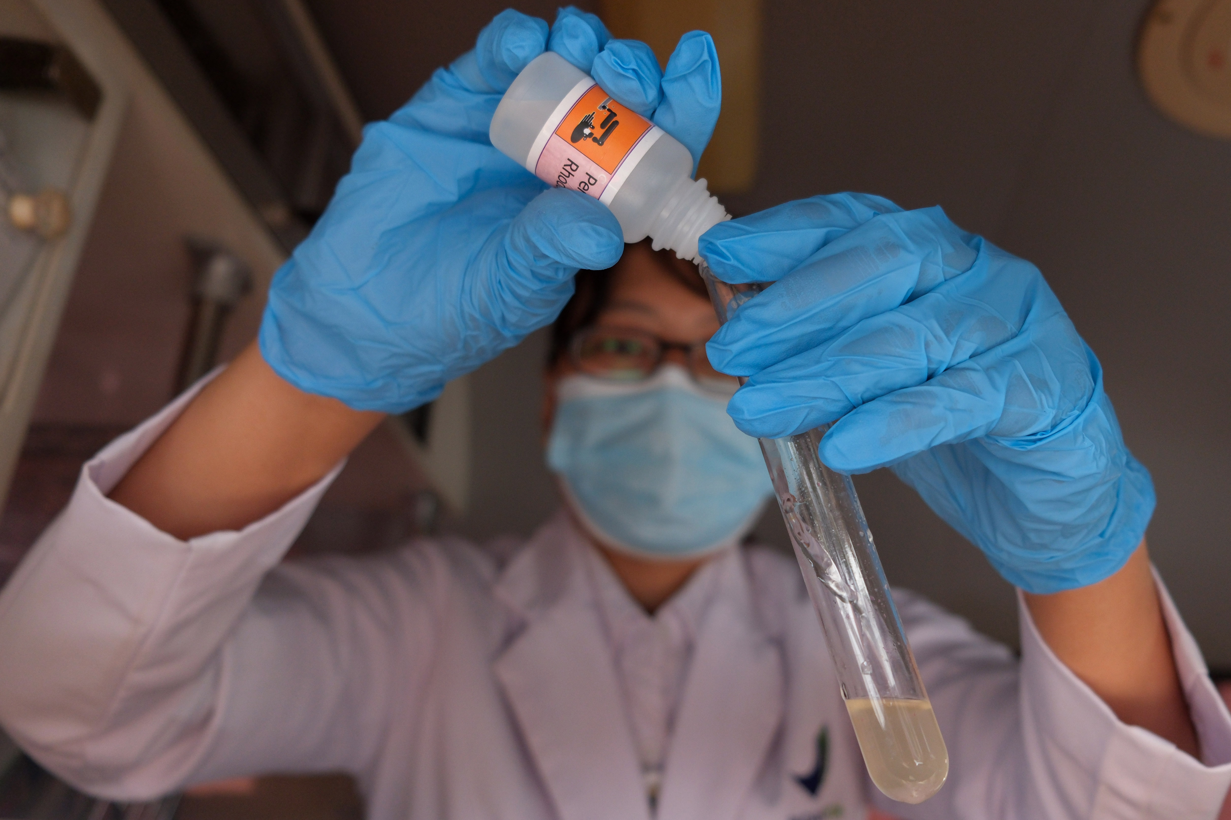 Petugas Balai Besar Pengawas Obat dan Makanan (BBPOM) menguji kandungan pada sampel ikan 