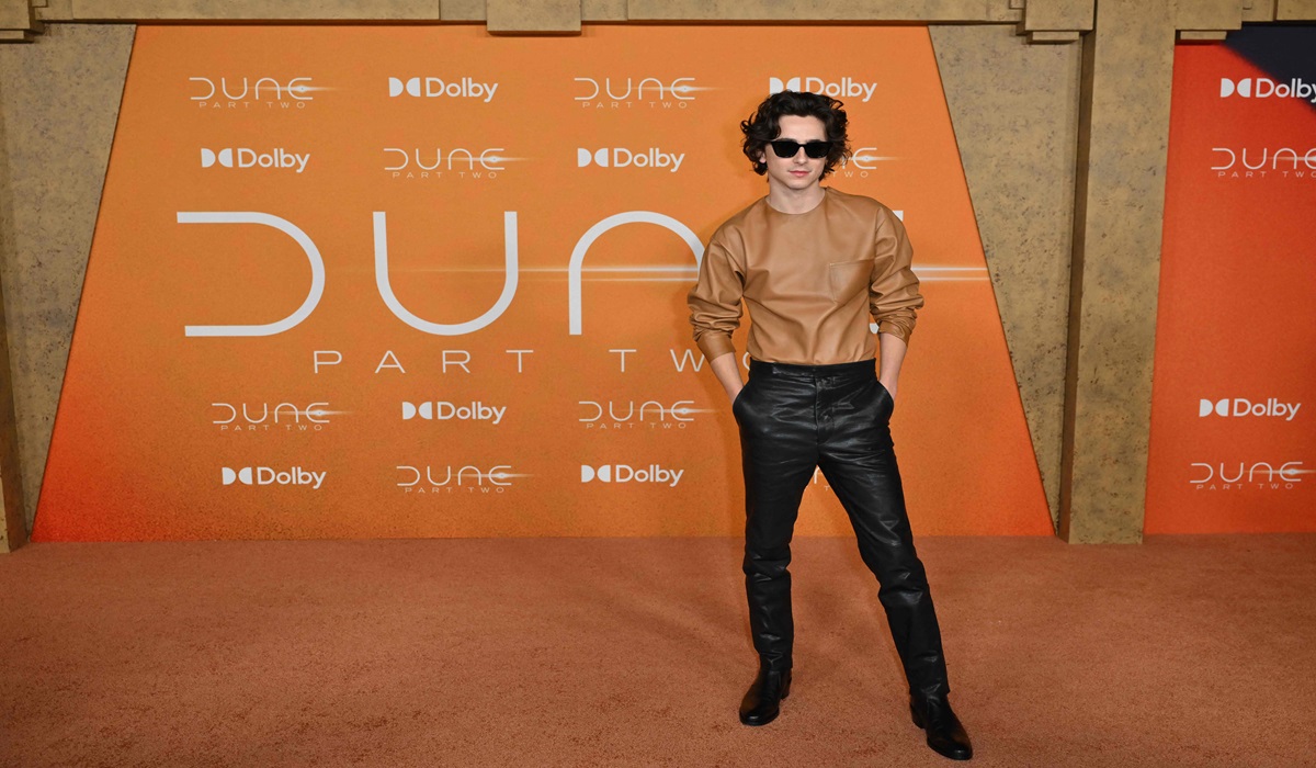 Aktor Timothee Chalamet