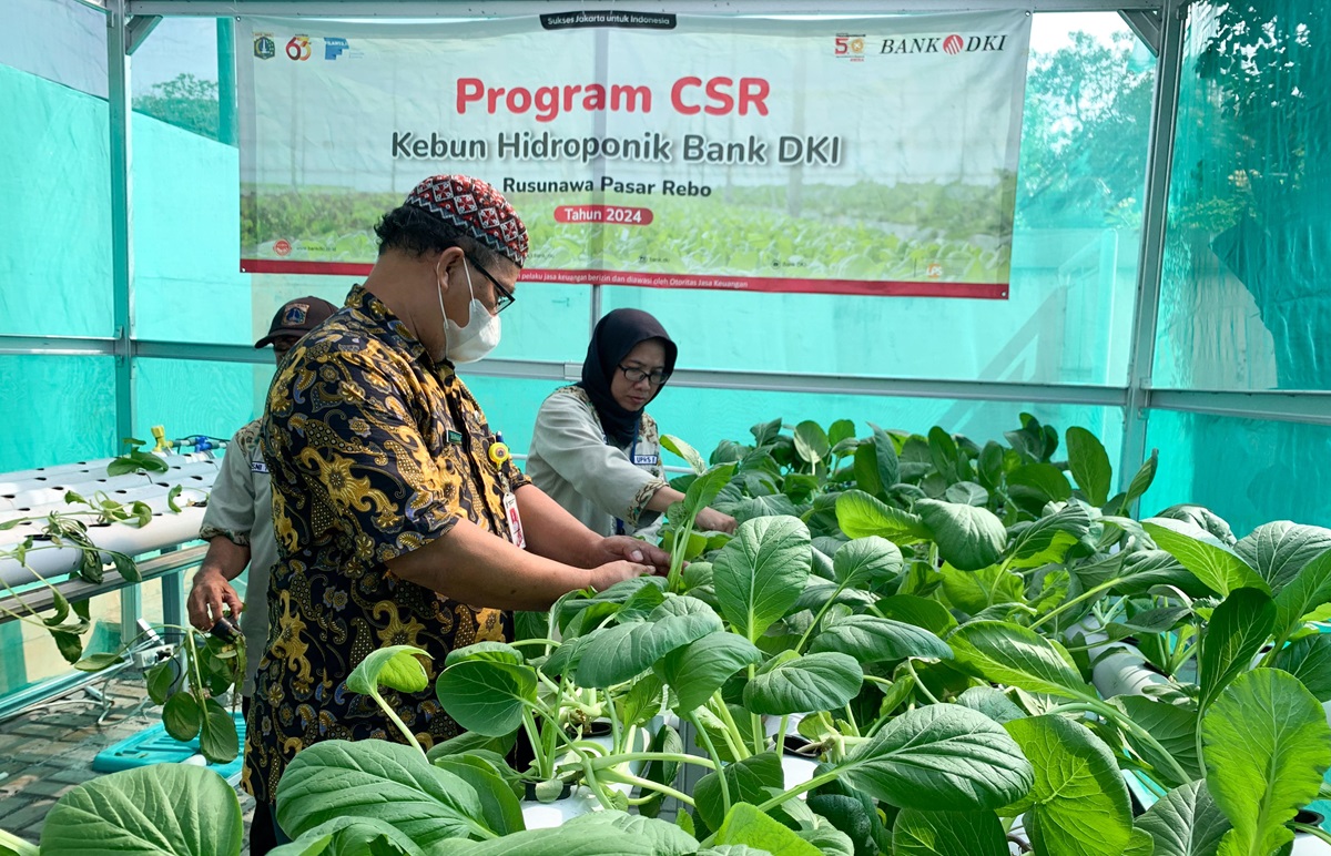Jakarta Koperasi Hidroponik (JAKONIK) merupakan program CSR unggulan Bank DKI