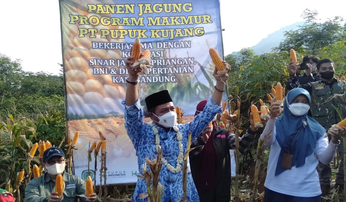 Perbenihan Tanaman Pangan Nasional IX 