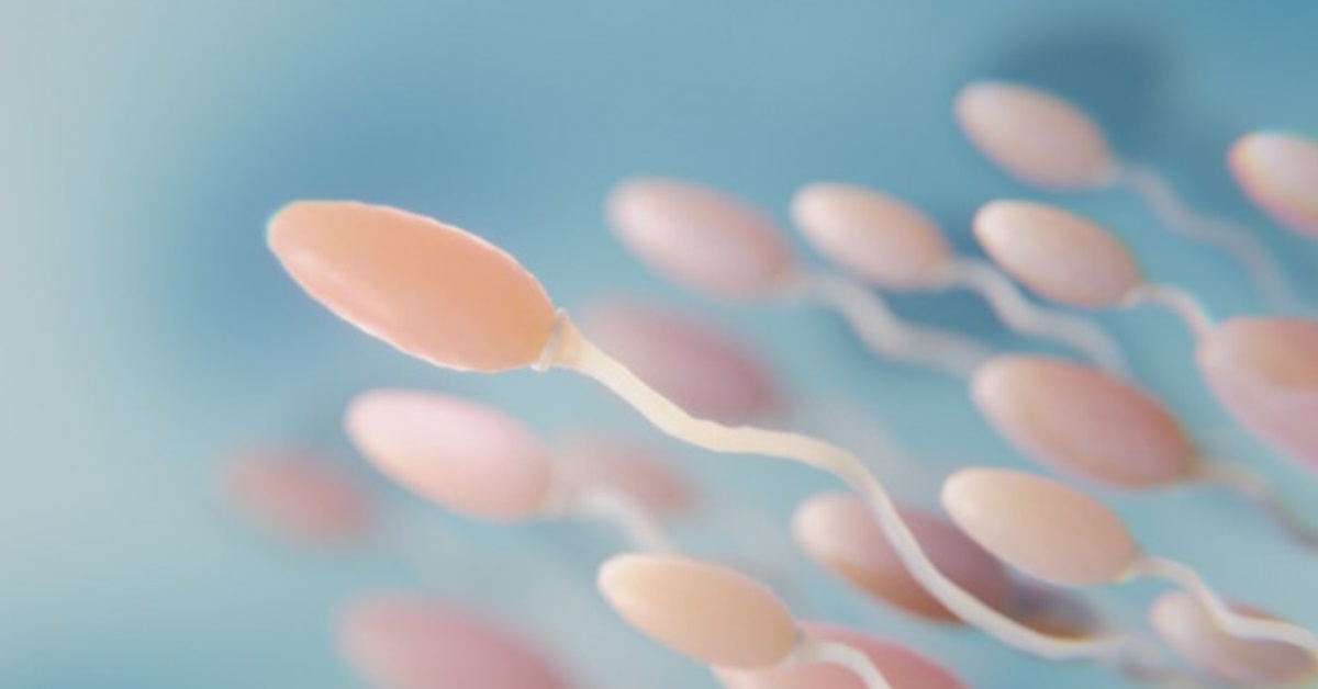 Keberhasilan program kehamilan tidak hanya bergantung pada kondisi fisik perempuan, tetapi juga pada kualitas sperma laki-laki.