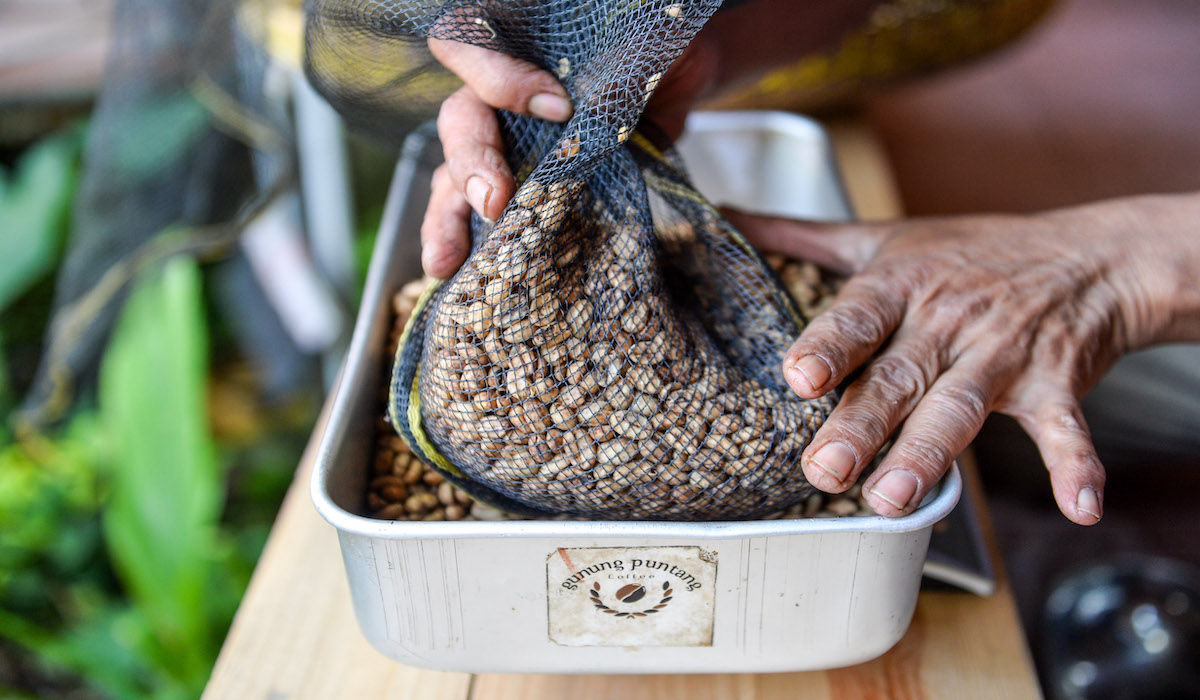 Mendag Zulkifli Hasan melakukan pelepasan ekspor kopi green bean ke AS