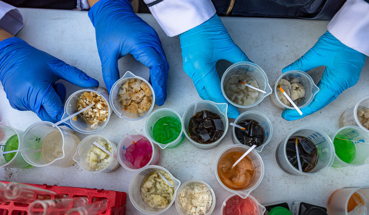 Sampel pangan olahan.