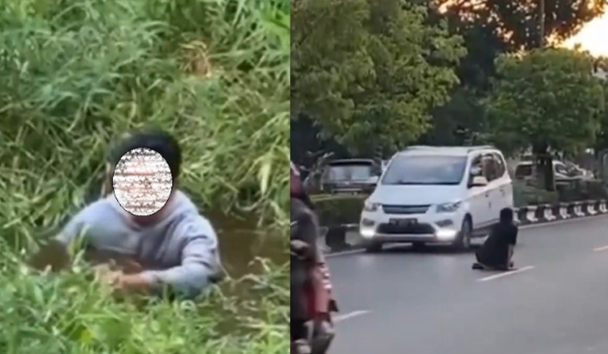 Warga Banjarmasin Kalsel yang mabuk kecubung.jpgIlustrasi, tanaman kecubung.