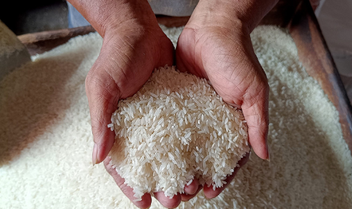 Ketahanan Pangan Hadapi Tantangan Perubahan Iklim