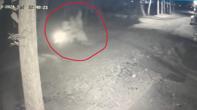 Fakta atau Hoaks? Polisi Telusuri Video Viral Pemotor Bonceng Pocong di Kulon Progo