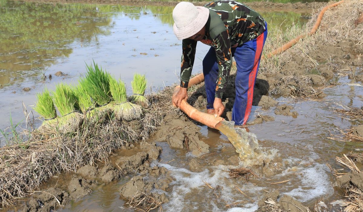 Petani mengalirkan air ke area persawahan miliknya dengan menggunakan mesin pompa air di Desa Suak Raya, Johan Pahlawan, Aceh Barat, Aceh.