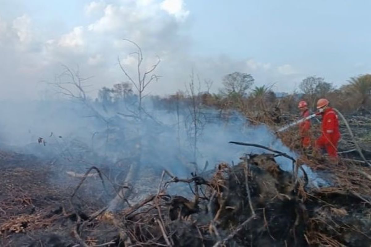 Petugas memadamkan lahan yang terbakar.