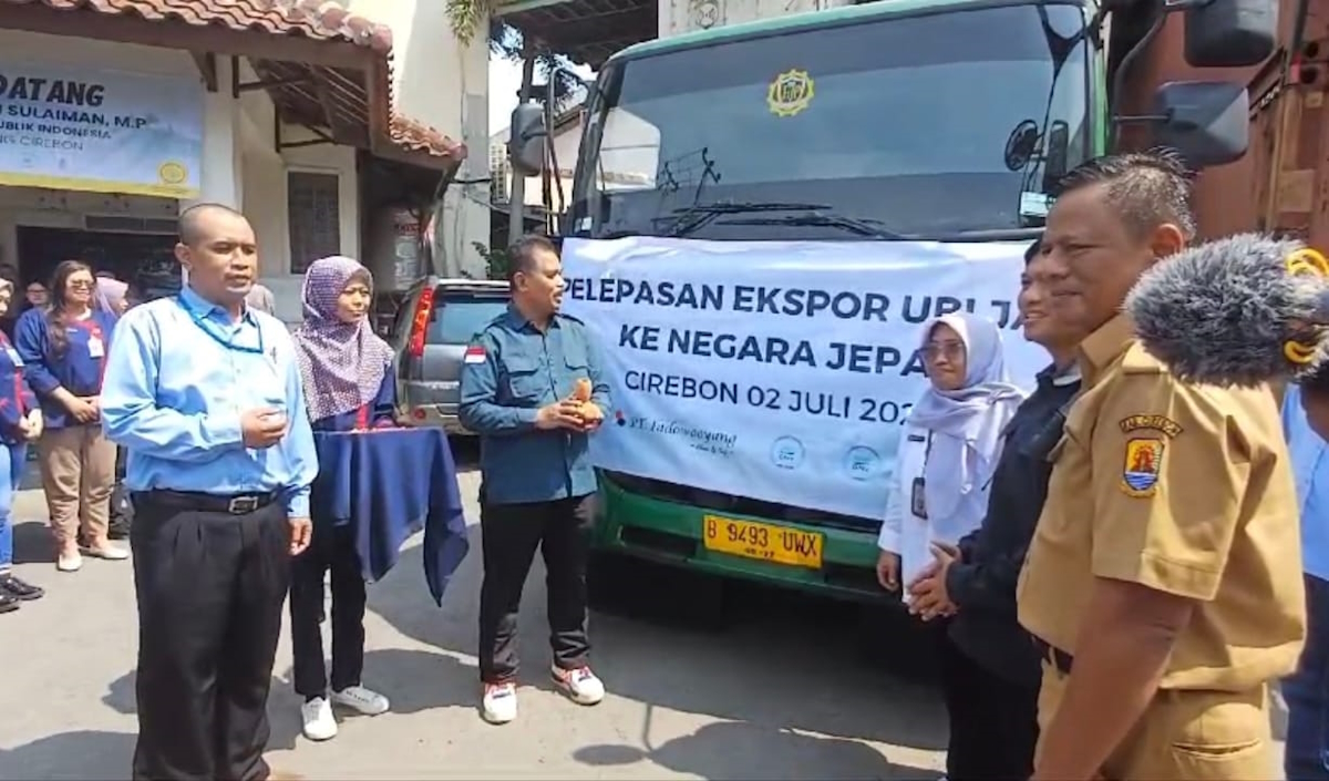 PT Indowooyang menyerap ubi jalar petani dari berbagai daerah untuk diekspor ke Jepang dan Korea Selatan