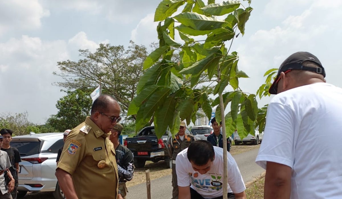 Penanaman sejuta pohon