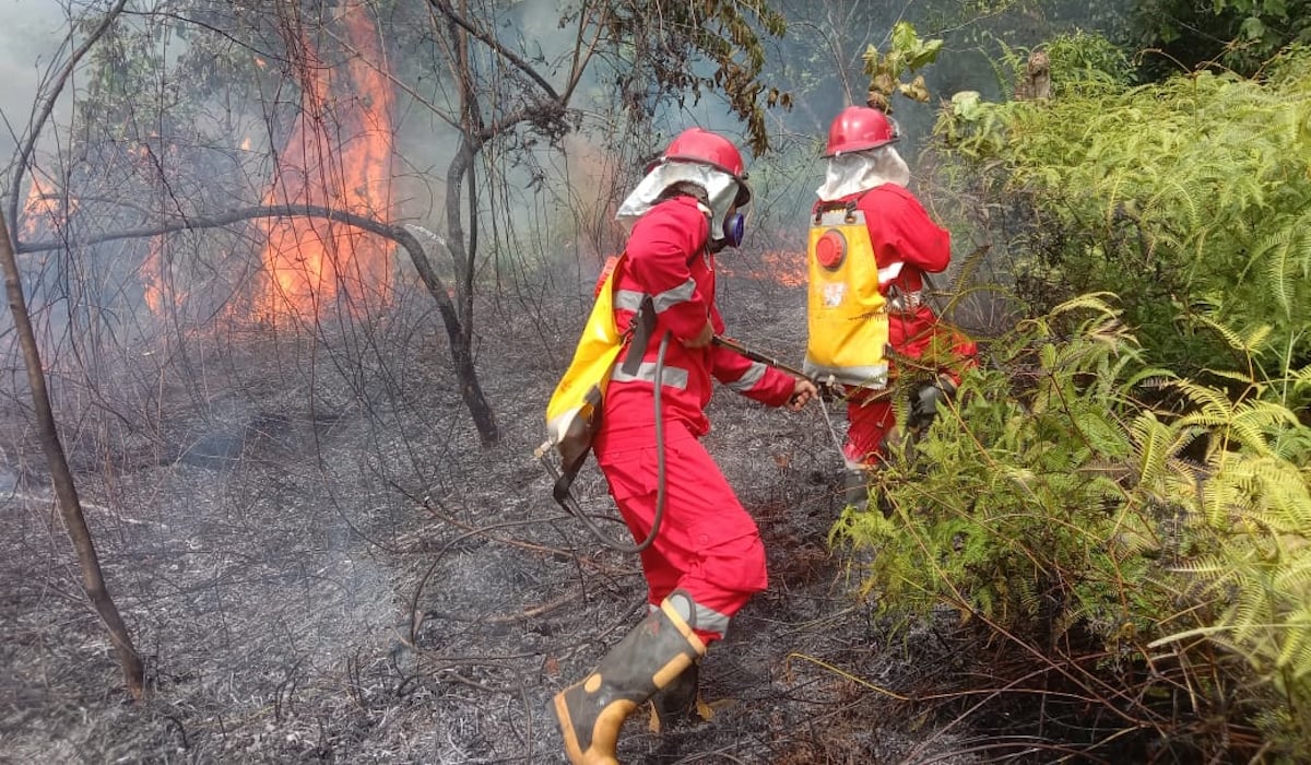  Kebakaran hutan dan lahan tahun (karhutla) 