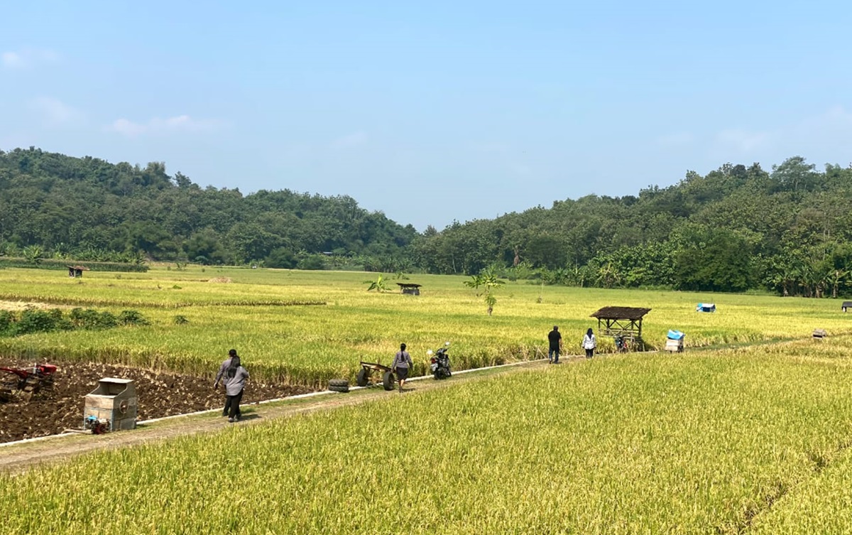 Pada Juni 2024, sebanyak 32 provinsi di Indonesia mengalami kenaikan Nilai Tukar Petani (NTP), dengan kenaikan nasional mencapai 118,77 atau