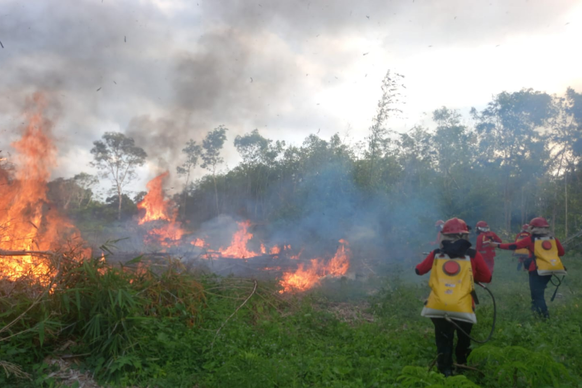 Kebakaran lahan terjadi di Kabupaten Tanah Laut, Kalsel.