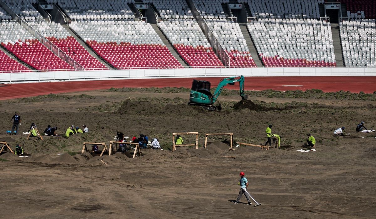 Sejumlah pekerja merevitalisasi rumput Field of Play (FOP) lapangan Stadion Utama Gelora Bung Karno (SUGBK) di Jakarta, Rabu (26/6/2024).