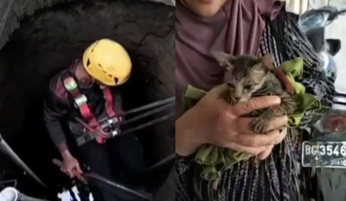 Petugas Damkar mengevakuasi anak kucing dari dalam sumur di Lubuklinggau, Sumsel.