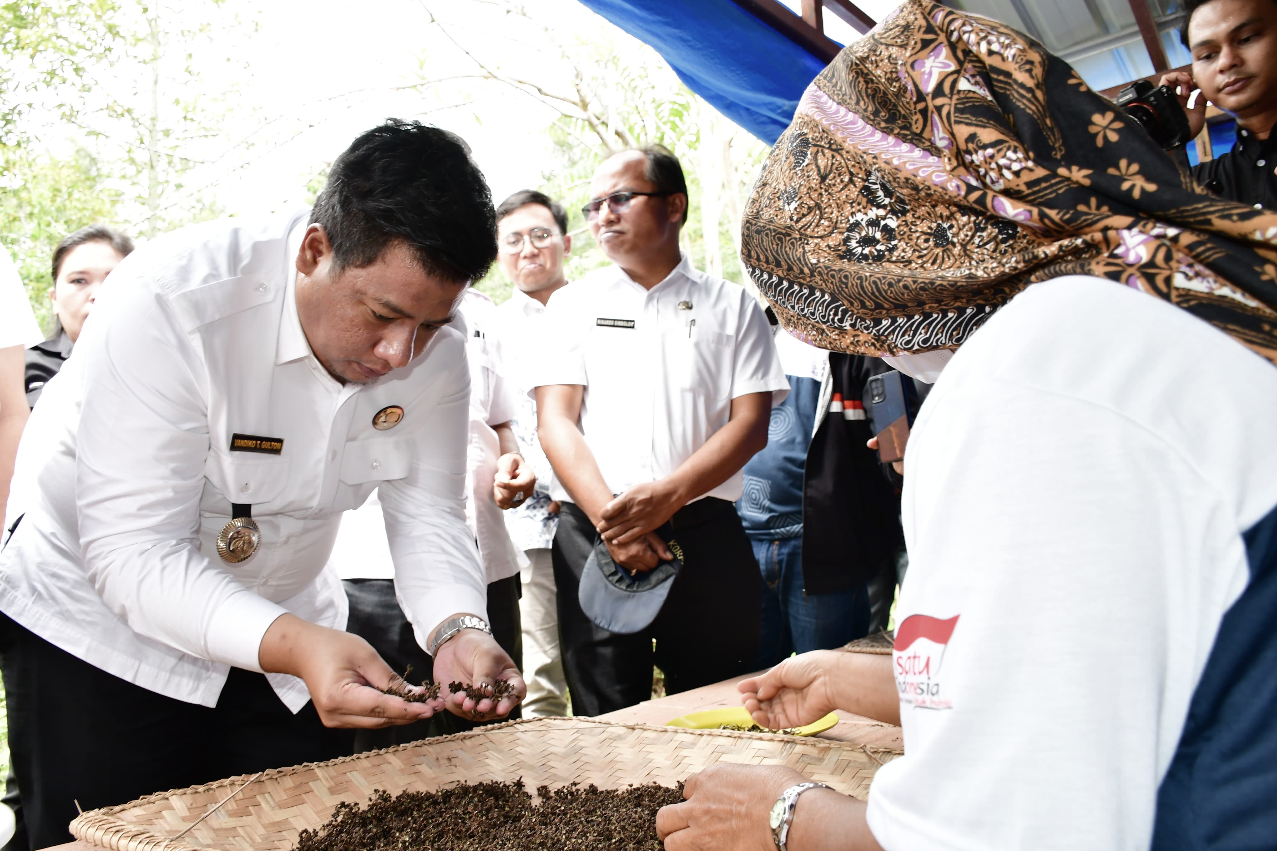 Bupati Samosir Vandiko T Gultom memperhatikan andaliman