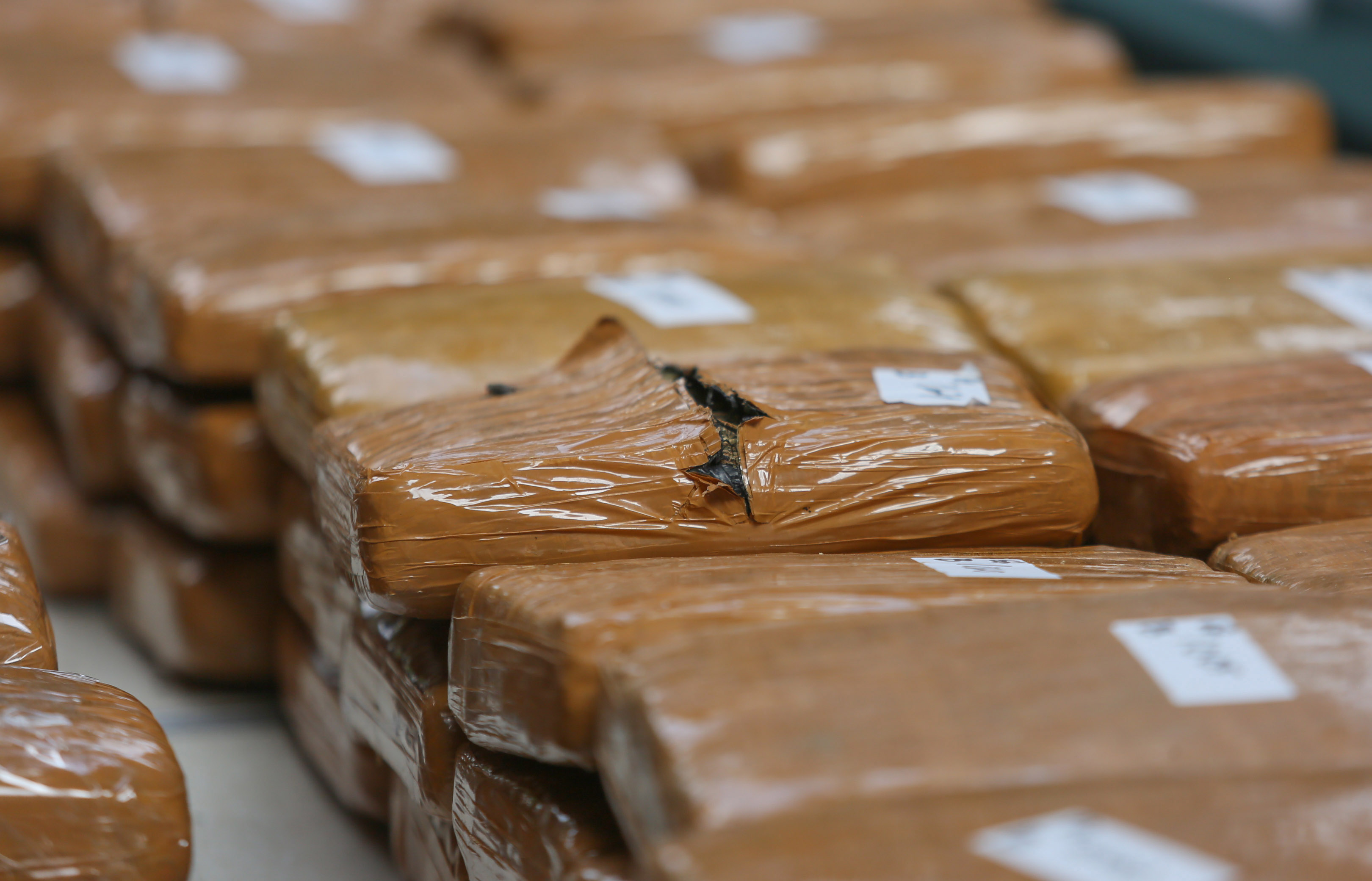 Ilustrasi barang bukti ganja