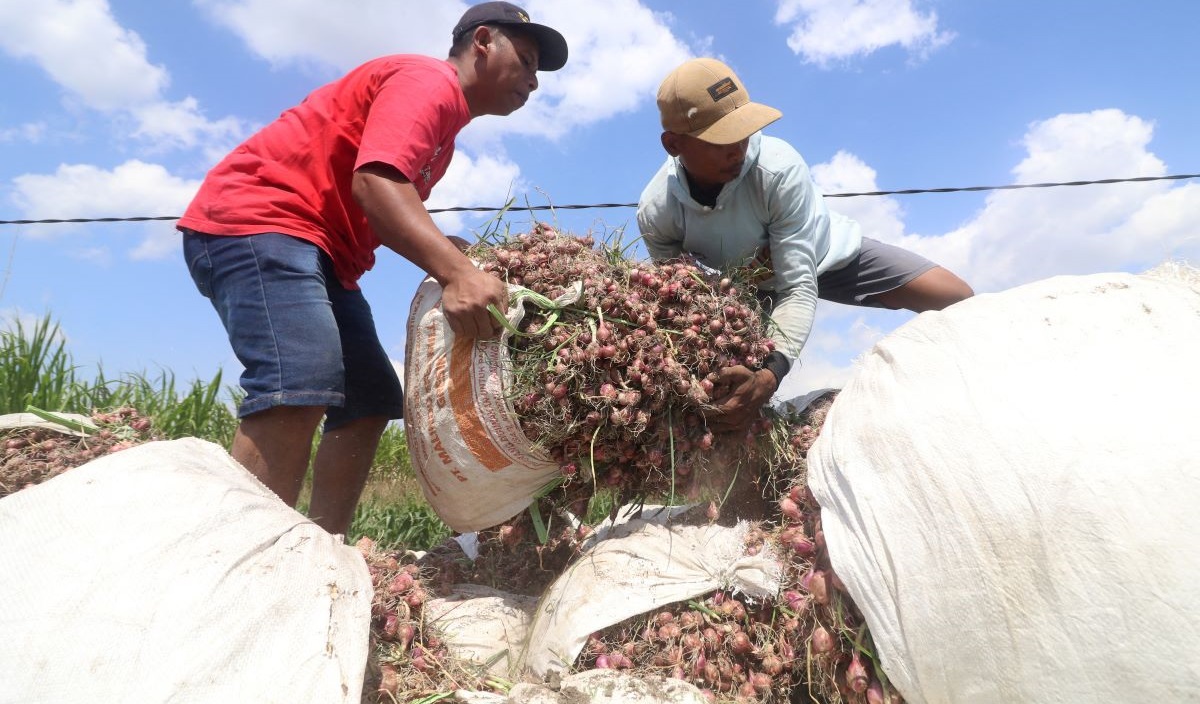 Selama Juli Terjadi Deflasi, ini Penyumbang Terbesarnya
