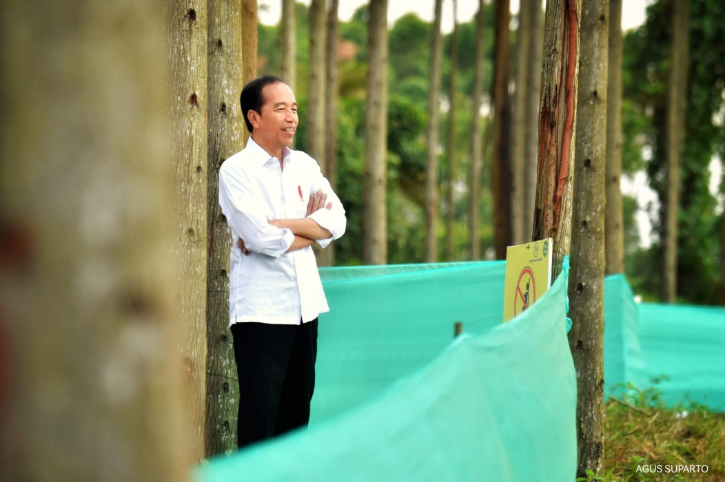 Presiden Joko Widodo menyaksikan pemandangan pagi hari di kawasan IKN, Kalimantan Timur.