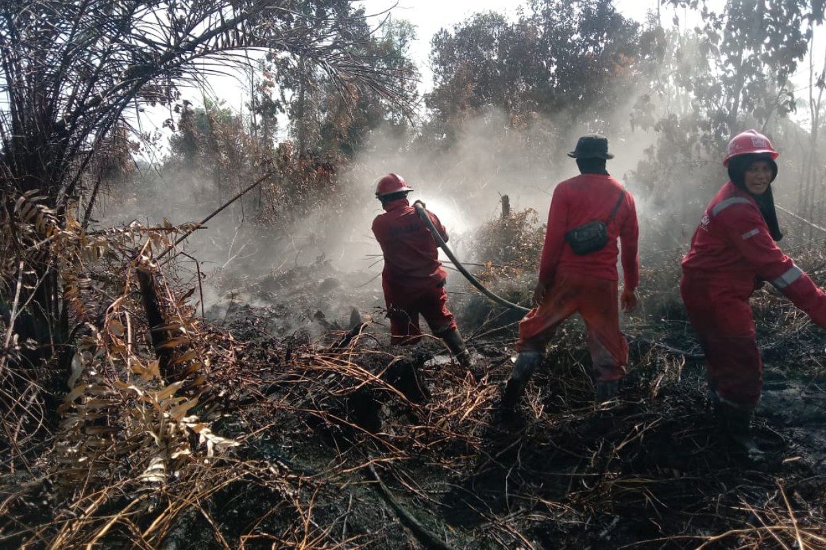 Lebih dari 10 hektare (Ha) lahan Hutan Produksi Konversi (HPK) di Desa Karya Indah, Kecamatan Tapung, Kabjpaten Kampar, Riau, terbakar selam