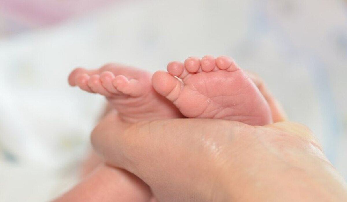 Ilustrasi, kaki bayi.