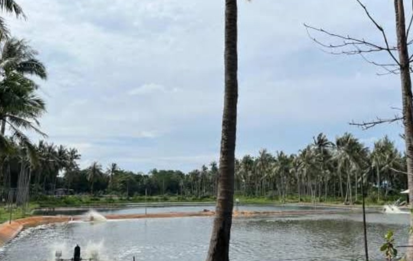 Aktivis Lingkungan: Pemkab Jepara Tidak Tegas, Tambak Udang Di Karimunjawa Semakinin Nekad Dan Meresakan