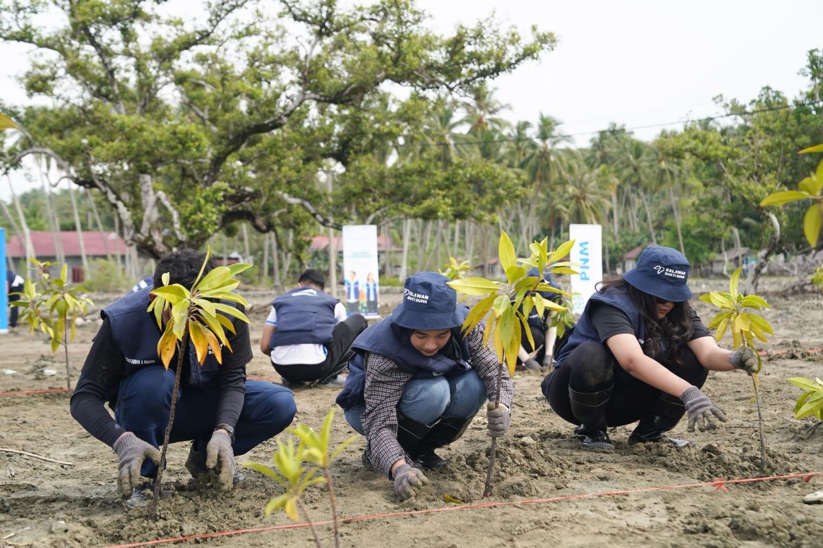 Hijaukan Pesisir Dan Atasi Abrasi Delang Mangrove 1.000 Mangrove