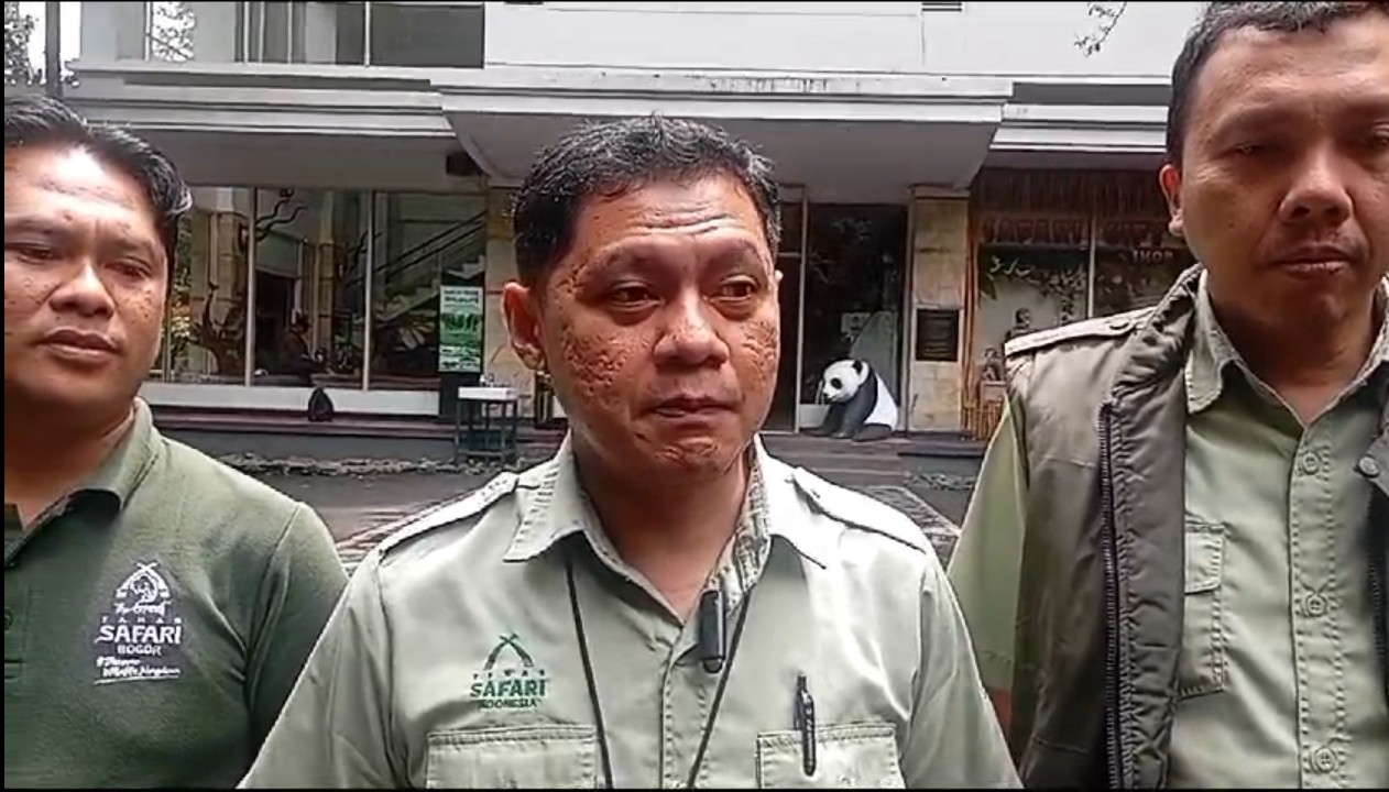 Taman Safari Blacklist Pengunjung yang Keluar Mobil di Area Terlarang