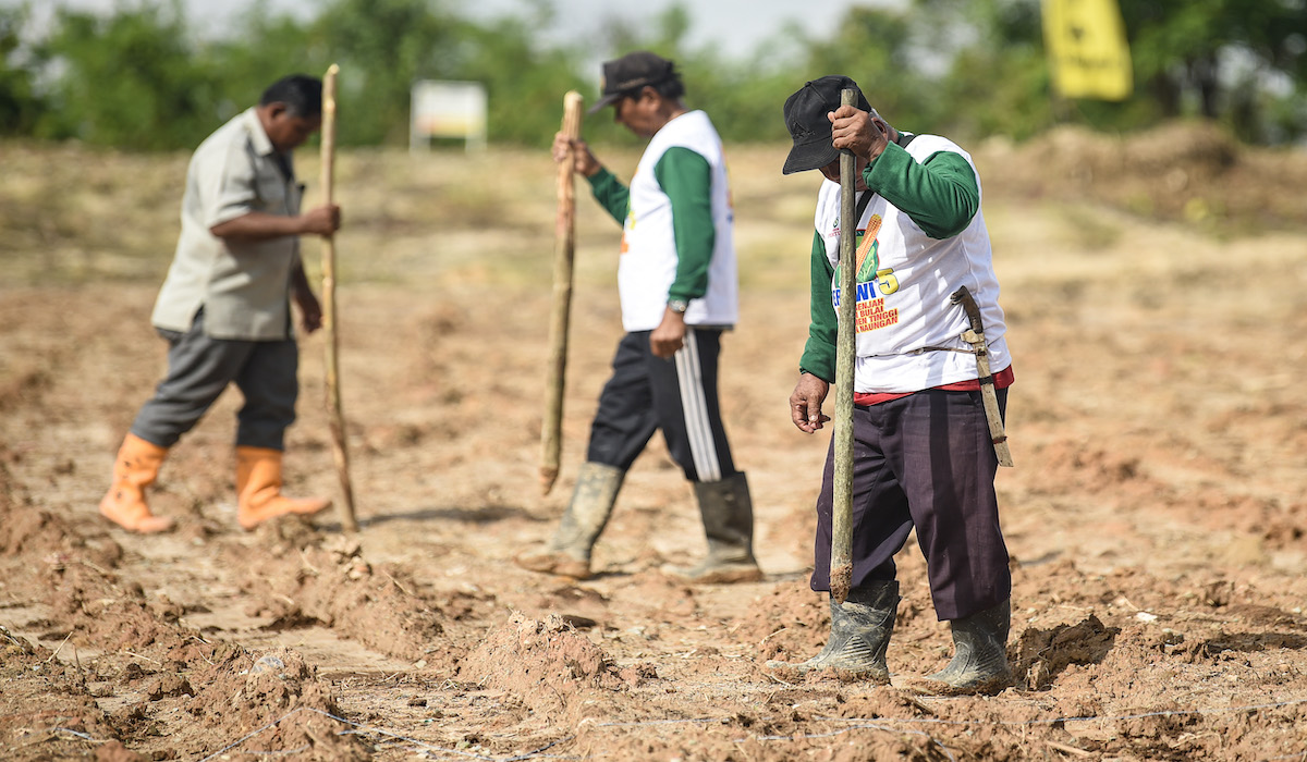 KAI Perkuat Ketahanan Pangan Nasional lewat Distribusi Pupuk