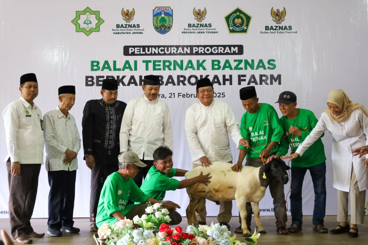 Berdayakan Mustahik, Baznas Luncurkan Program Balai Ternak di Jepara