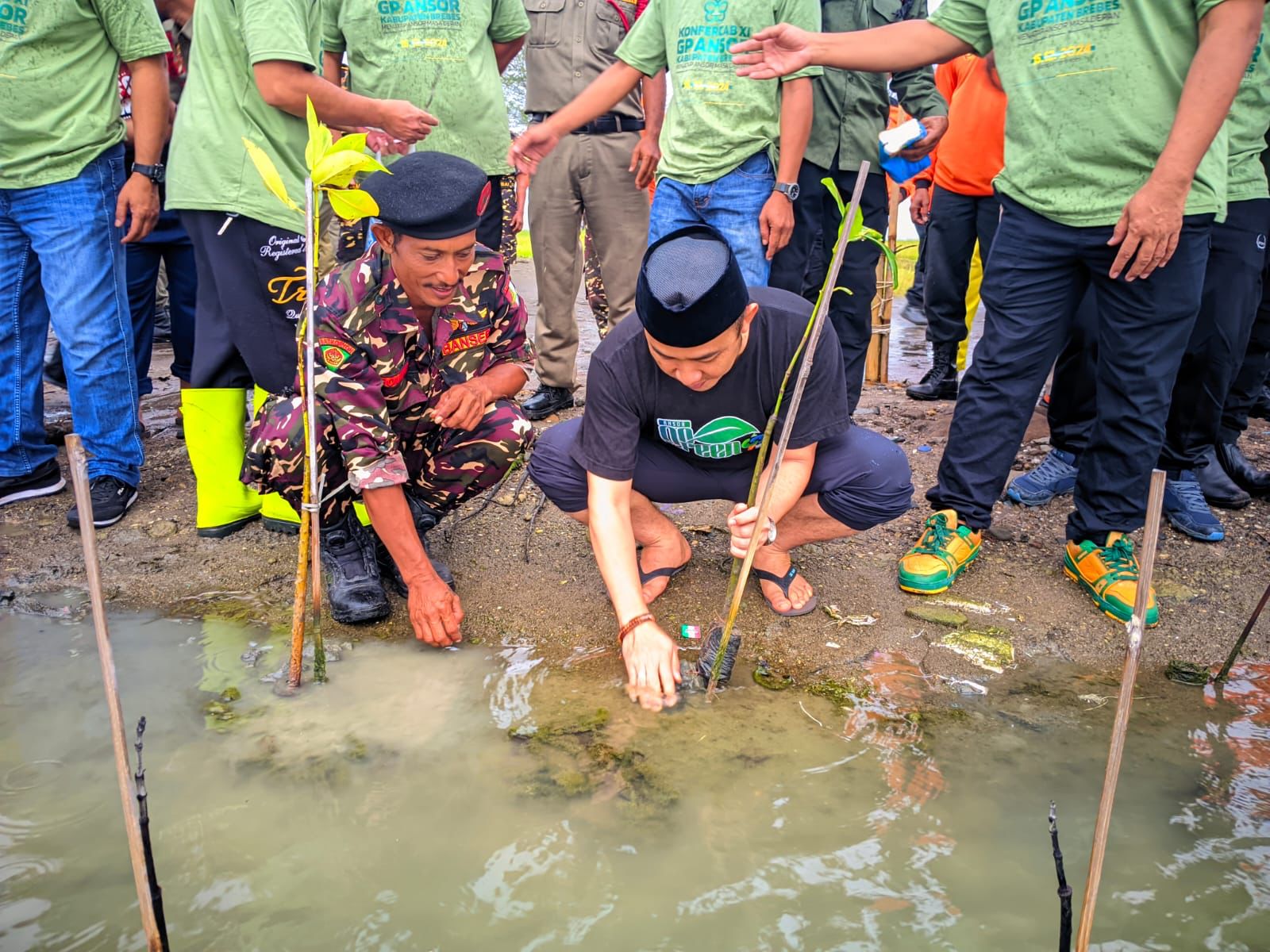 Ingatkan Dampak Perubahan Iklim, GP Ansor Ajak Kader Tanam Mangrove