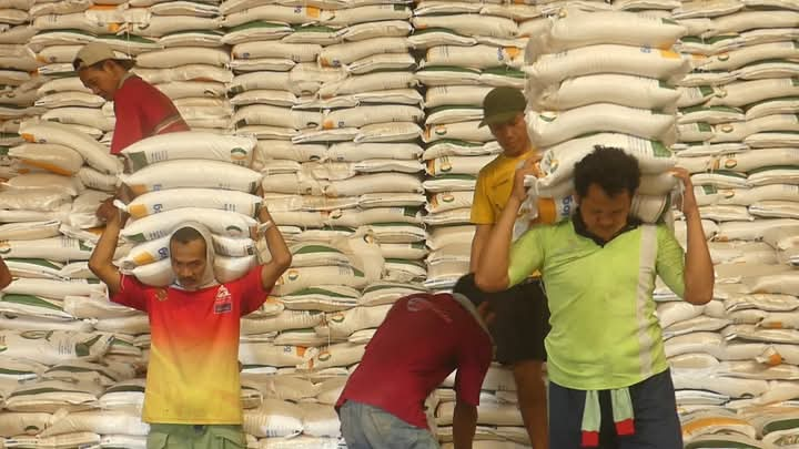 Bulog Magelang Percepat Penyerapan Gabah dan Beras