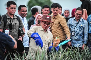 Cawe-Cawe Mendes di Pilkada Kabupaten Serang Dapat Dilaporkan ke KPK