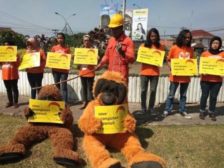 190 Ribu Dukungan Global untuk Menyimpan Orangutan Tapanuli & Keanekaragaman Hayati di Ekosistem Toru Batang