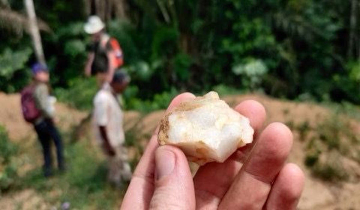 Earliest Evidence of Human Ancestors in African Forests: 150,000-Year-Old Discovery Unveiled