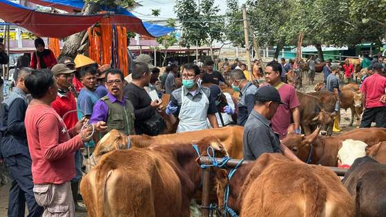 Kementerian Pertanian mengubah pengawasan rantai pasokan makanan hewani