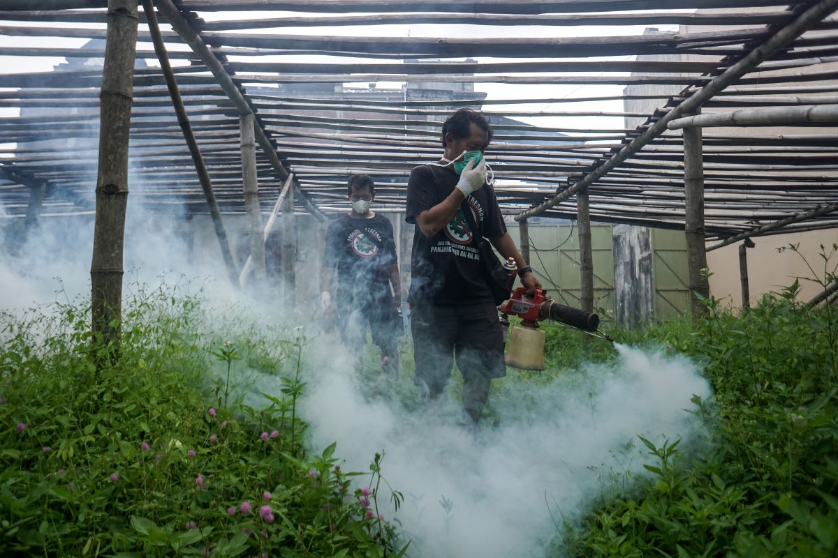 26 Kasus DBD, Kelurahan Rawasari Gencarkan Fogging dan Sebar Ikan Cupang