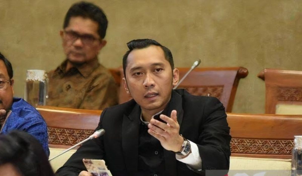 IBAS: Ekonomi kreatif Indonesia harus terbang ke domain global