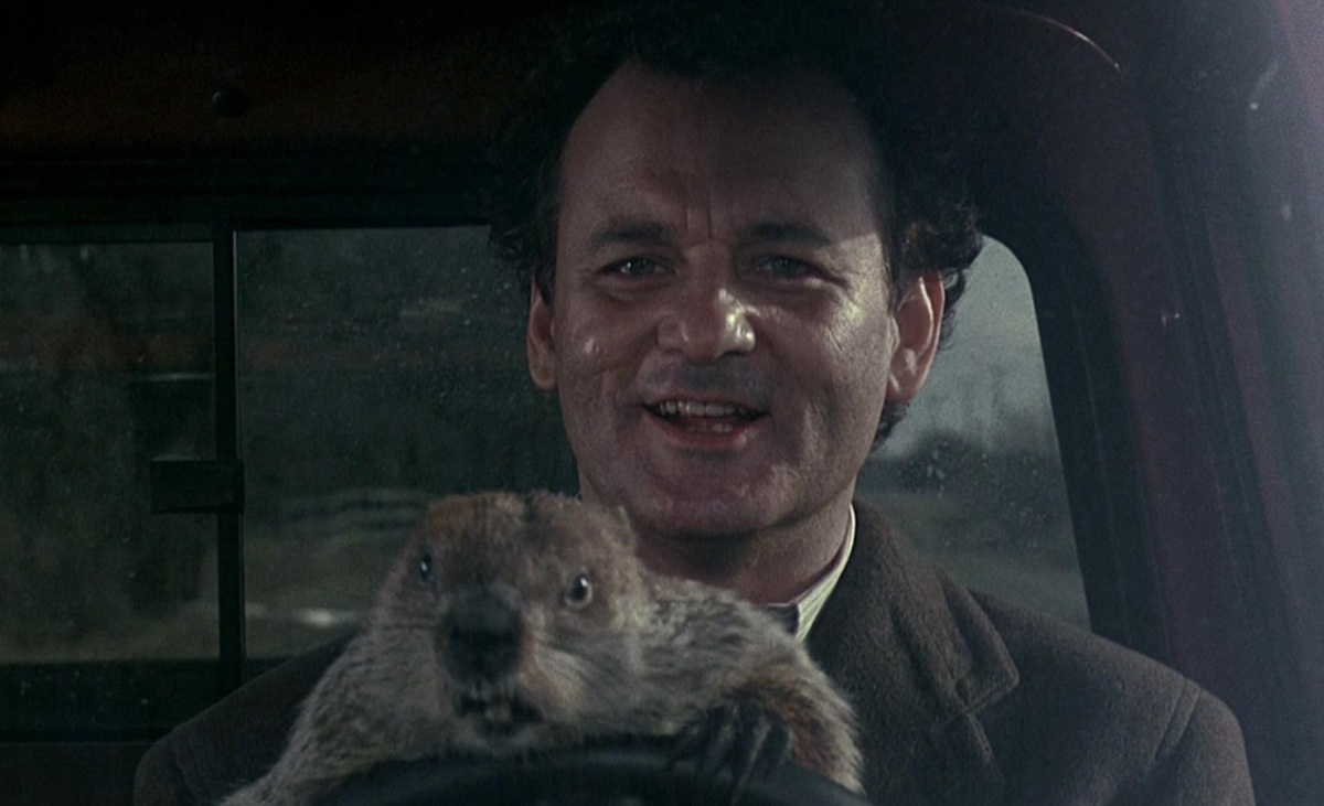 Bill Murray Digigit Groundhog di Lokasi Syuting Groundhog Day