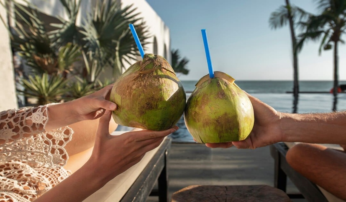 Minum Air Kelapa Saat Buka Puasa Bisa Cegah Dehidrasi