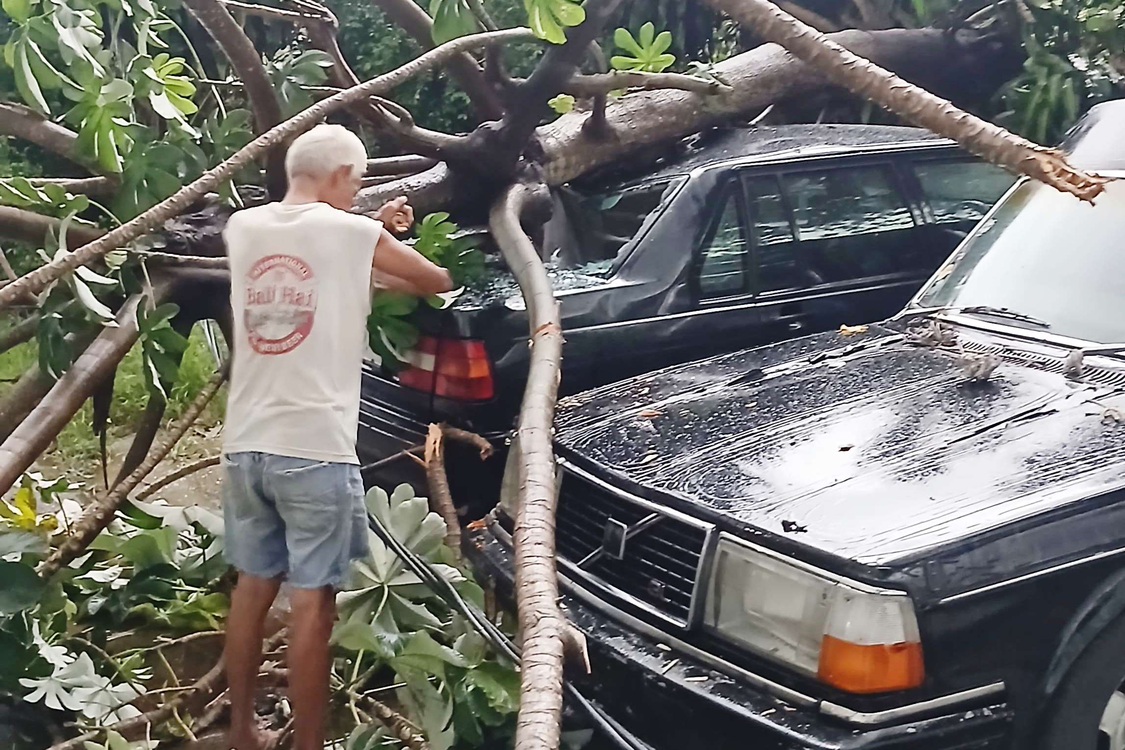 Hujan Deras dsn Angin Kencang Terjang Depok Pohon Timpa 3 Mobil Tiang Listrik Roboh