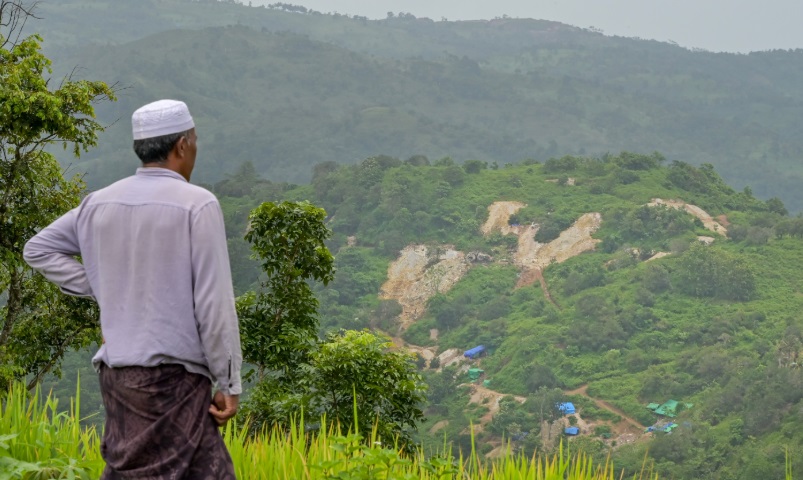 Kemenag Dorong Wakaf Hutan untuk Atasi Degradasi Lingkungan