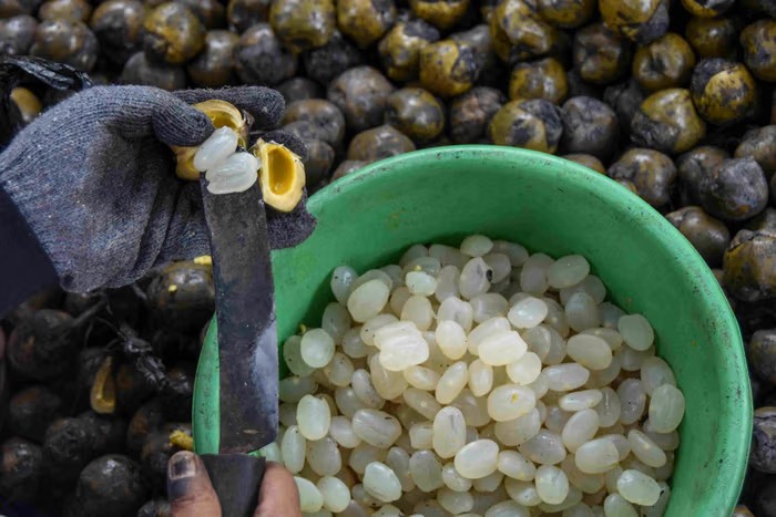 Fro for Nyeri Lutut dan Sendi? Ini adalah penjelasan dari dokter