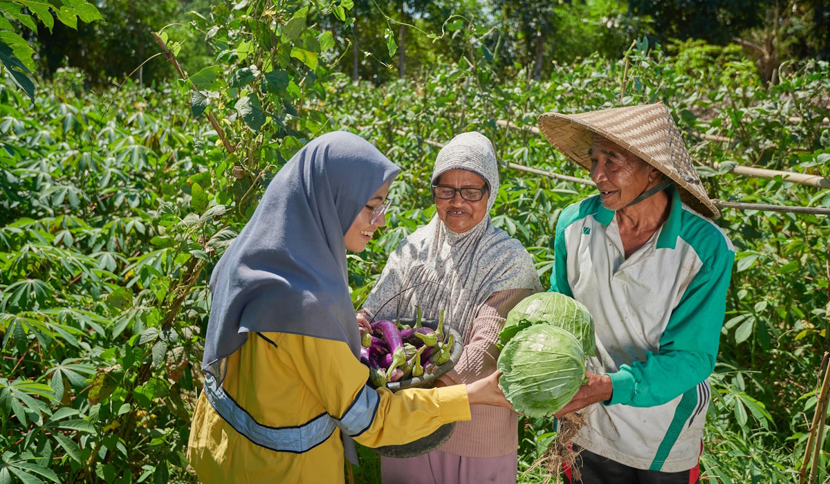 Program Pertanian Organik Meningkatkan Pemanenan Petani Lokal