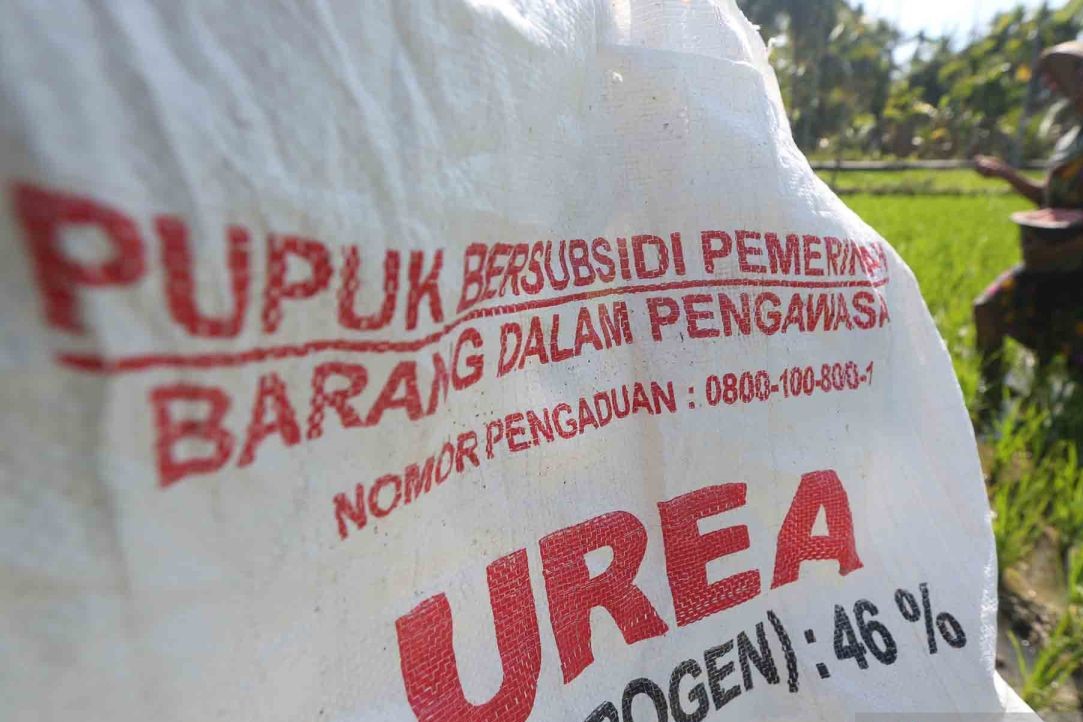 Pemerintah Bentuk Pokja Awasi Penyaluran Pupuk Bersubsidi