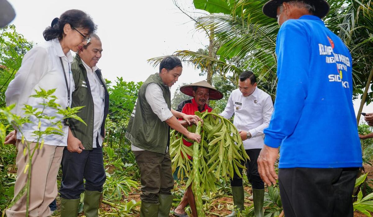 Cek Perhutanan Sosial Di Majalengka, Kemenhut Pastikan Petani Hutan Dapat Pupuk